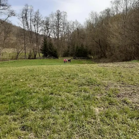 Little Creek Apartament Hamoir